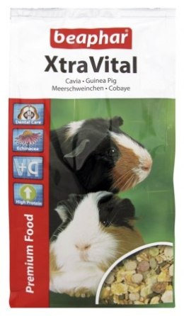 BEAPHAR XTRAVITAL GUINEA PIG karma dla świnek morskich 1kg